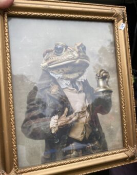 Framed Witchy Pictures