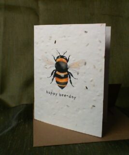 11001 - Plantable Cards