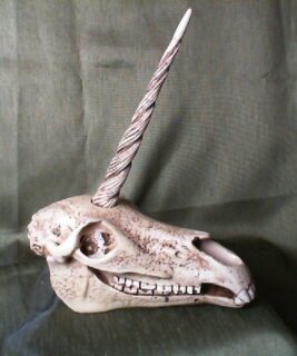 22036 - Unicorn Skull