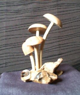 22037 - Wood Mushrooms 1