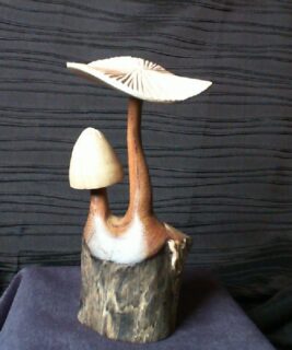 22038 - Wood Mushrooms 2