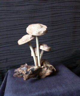 22040 - Wood Mushrooms 4