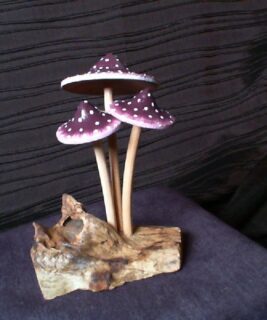 22041 - Wood Mushrooms 5