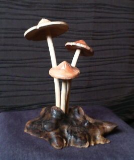 22043 - Wood Mushrooms 7