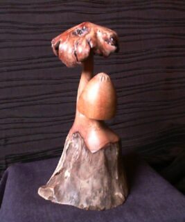 22044 - Wood Mushrooms 8