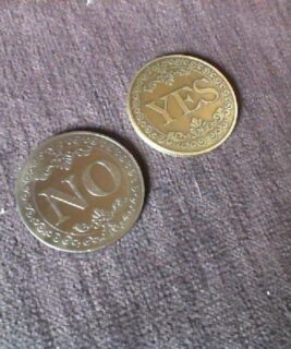 66058 - Yes-No Coins