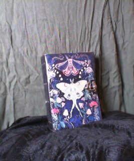 78014 - Butterfly Leather Journal