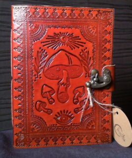 78024 - Mushroom Journal