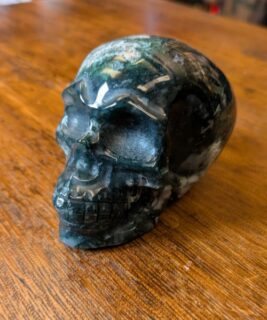 90404 - IvyCat - moss agate skull