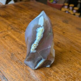 90409 - IvyCat - orca agate flame