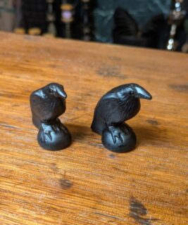 90417 - IvyCat - obsidian crows - medium