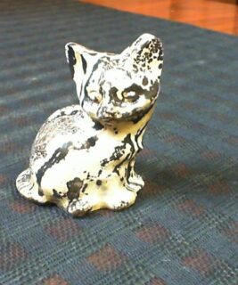 90427 - IvyCat - Picture Jasper Cat