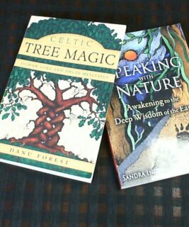 90802 - Sacred Space - Assorted Books - 25
