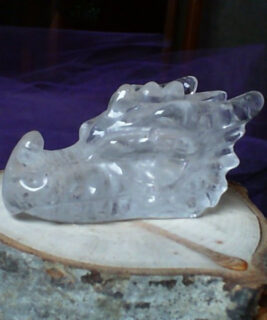 90433 - IvyCat - Clear Quartz Dragon Head