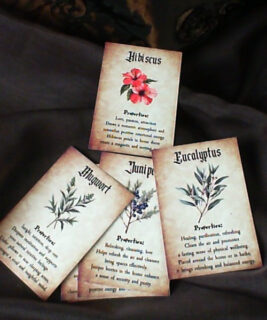 71034 - Herbal Info Cards