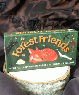 71038 - Forest Friends