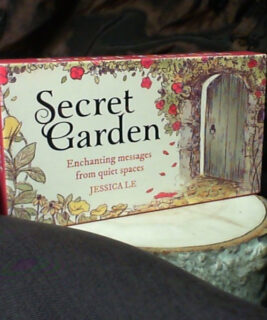 71041 - Secret Garden Messages