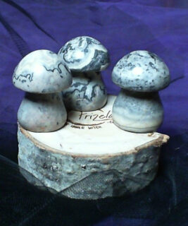 90436 - IvyCat - Picasso Jasper Mushrooms