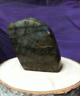 90440 - IvyCat - Labradorite Freeform