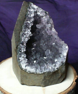 90460 - IvyCat - Amethyst Cut Base