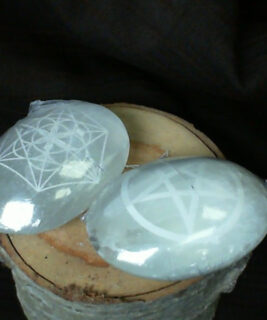 90494 - IvyCat - Selenite Palm small
