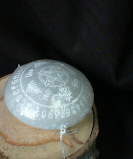 90495 - IvyCat - Selenite Palm Large