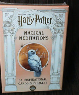 61029 - HP - Magical Meditations
