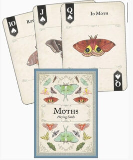 71062 - Moths Playing Cards
