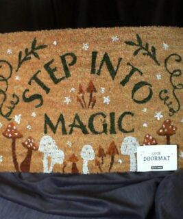 22054 - Step into Magic Mat