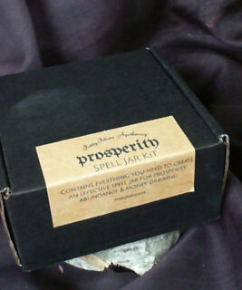 66093 - Prosperity Spell Jar Kit