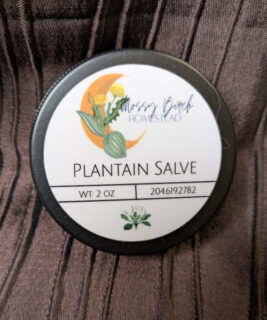90208 - Mossy Birch - plantain salve