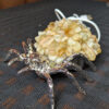 91818 - IvyCat - Multicolor Spider Light