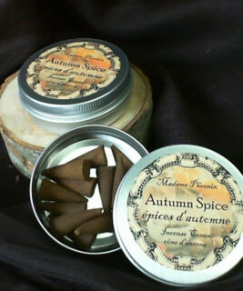 85047 - Cone Incense - Autumn