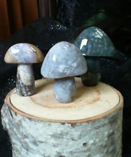 90463 - IvyCat - Large Mushroom