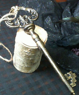 66097 - Giant Key