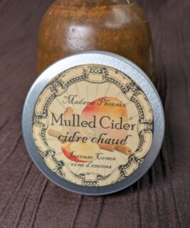85061 - Cone Incense - Mulled Cider
