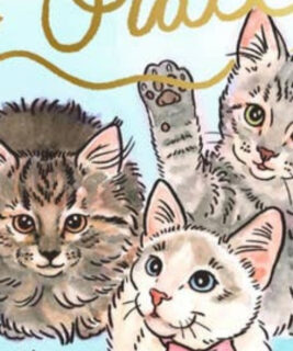 71086 - Kitten Oracle
