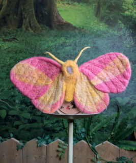 92003 - Moss and Thimble - Rosy Maple Moth Clip