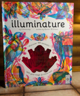 90671 - Gumball Goods - Illuminative Book