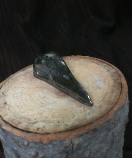 91858 - IvyCat - Crow Skull