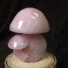 91859 - IvyCat - Mushroom