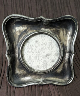 92421 - Boho upcycles - Silver-Black Frame w Bugs