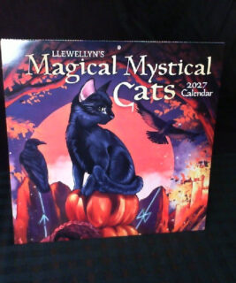 71126 - Magical Cats 2027 Calendar