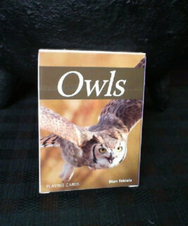 71132 - Owls Playing Cards
