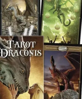 71101 - Tarot Draconis