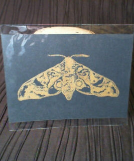 92609 - The Merch Stand Co - Moth Print