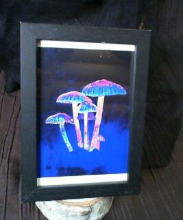 90916 - Signe Knutson - Mushroom Glow Framed Print