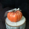 44247 - Enchanted Pumpkin