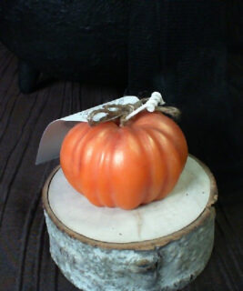 44247 - Enchanted Pumpkin