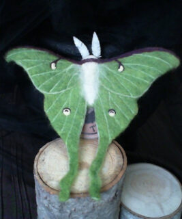 92012 - Moss and Thimble - Luna the Moon Moth